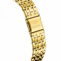 Pánske hodinky FESTINA 20046/2