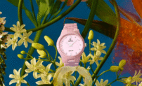 Dámske hodinky FESTINA CERAMIC 20751/2